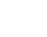 Logo Jérémy Besneau blanc feuille tronc